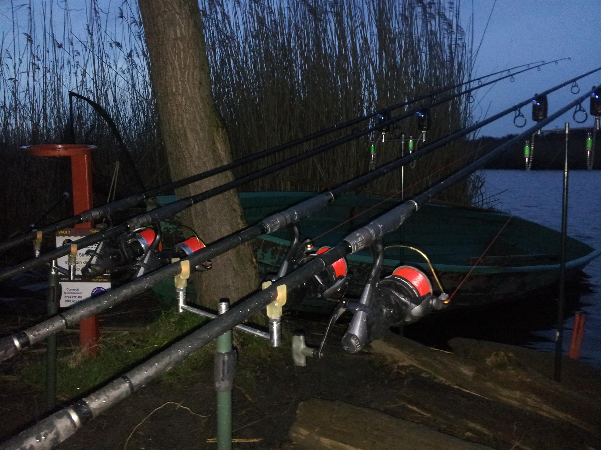 tancabesti  5-6 aprilie 2013 - 20130405195827.jpg